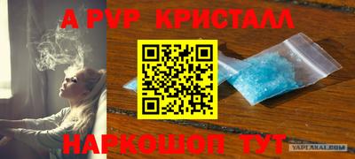 сатива Заводоуковск