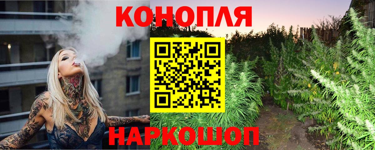 Канабис семена Шахты
